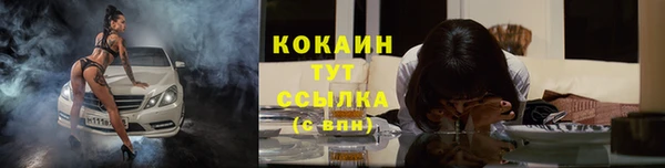 шишки Балахна
